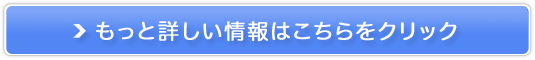 ̓Tvg N`C_S[h̔TCg